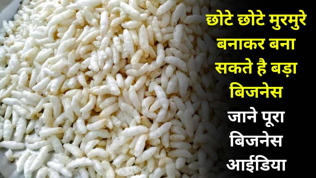 Business Idea: छोटे छोटे मुरमुरे बनाकर बना सकते है बड़ा बिजनेस, मार्केट में मच जाएगी हलचल